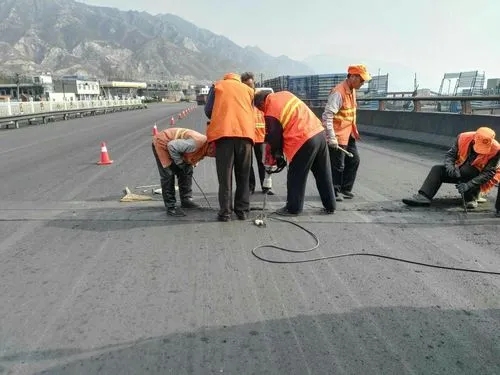 南湖道路桥梁病害治理